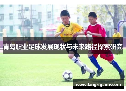 青岛职业足球发展现状与未来路径探索研究