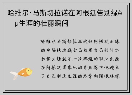 哈维尔·马斯切拉诺在阿根廷告别绿茵生涯的壮丽瞬间